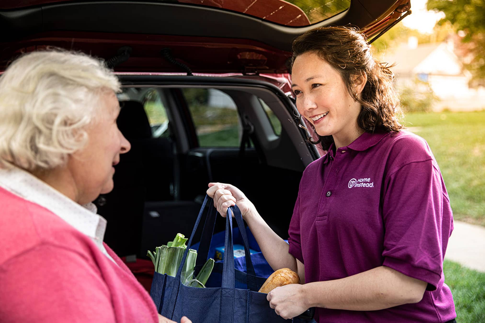 Care Pro helping senior with bags resized COMP